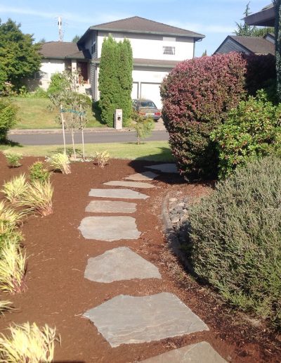 A Greenhaven Landscapes design customer's Vancouver WA front yard stone walkway path next to large shrubs