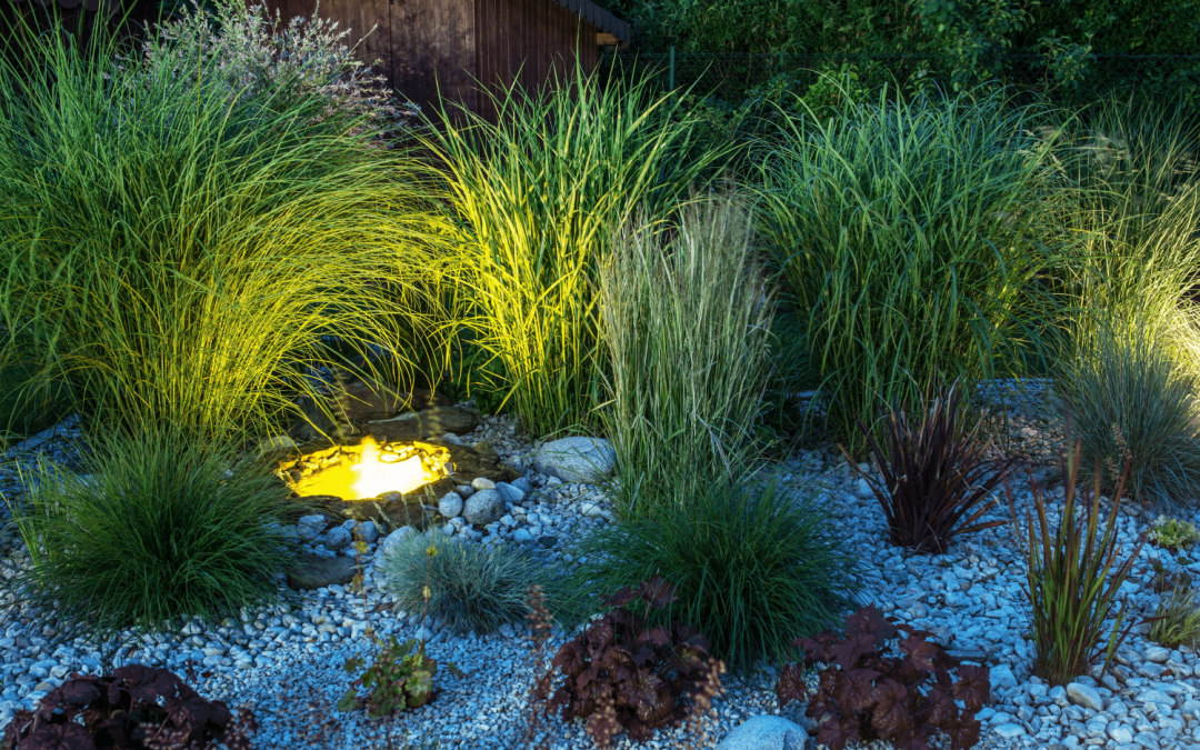 Fall Lighting Recommendations from Greenhaven Landscapes - outdoor lighting up lights by shrubbery in Vancouver WA