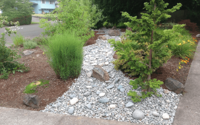 Top 5 Landscape Problems We Can Solve