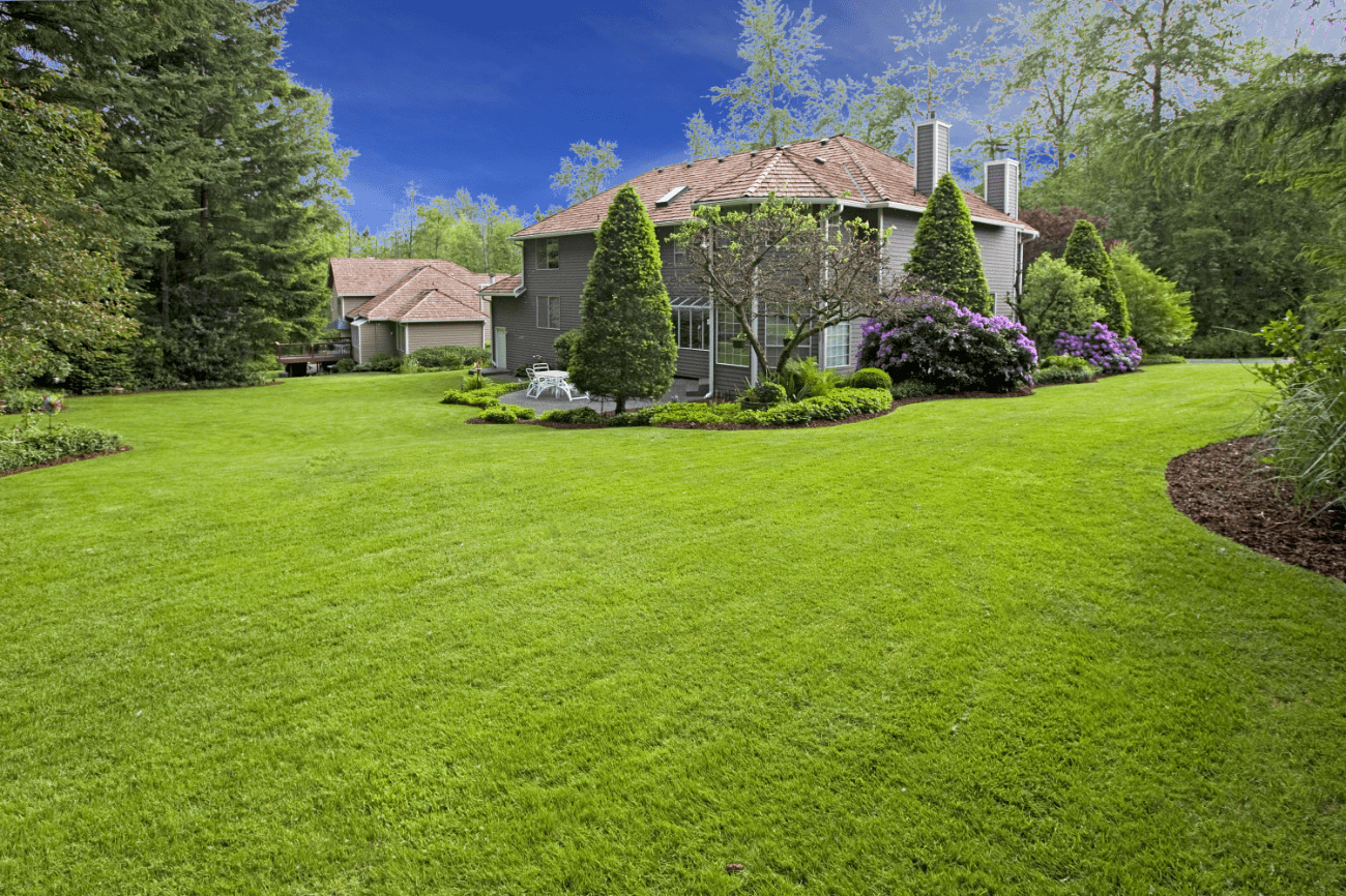 How to Transform a Stressed Yard to a Beautiful Yard ...