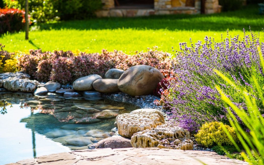 A Greenhaven Landscapes-designed Vancouver WA pond and rock border with lavender