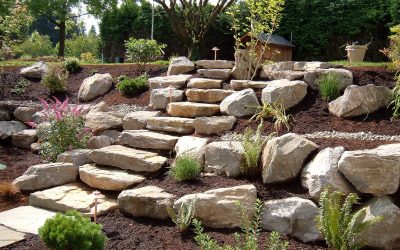 Hardscape Design: The Bones of Landscaping