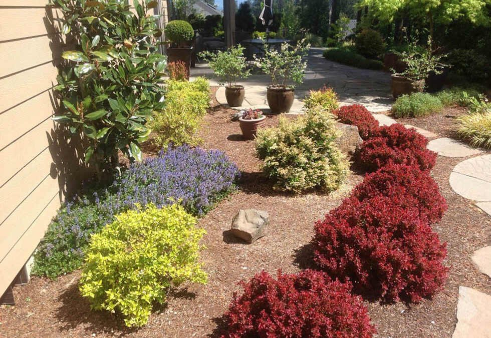 Spring Cleanup Checklist