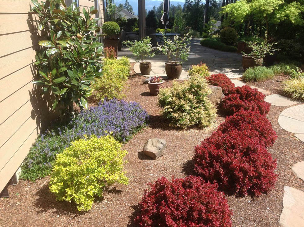 Spring Cleanup Checklist Vancouver Wa Greenhaven Landscapes Spring Cleanup Checklist
