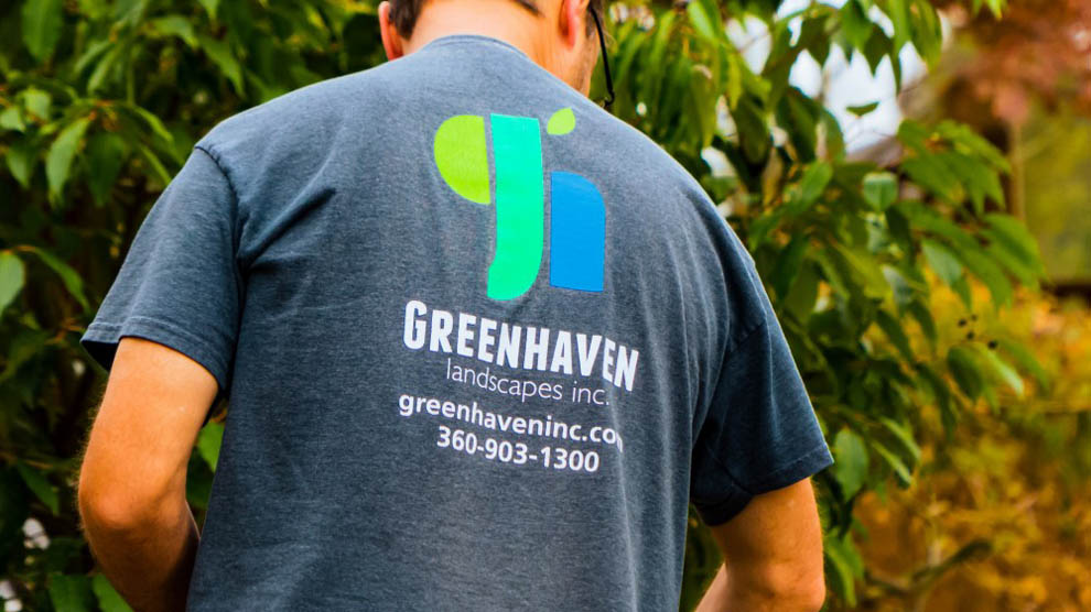 A Greenhaven Landscapes landscape maintenance employee pruning a tree in Vancouver WA