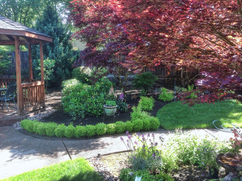 A Greenhaven Landscapes-designed customer’s Vancouver WA walkway and wood gazebo with landscape design A Greenhaven Landscapes-designed customer's Vancouver WA walkway and wood gazebo with landscape design