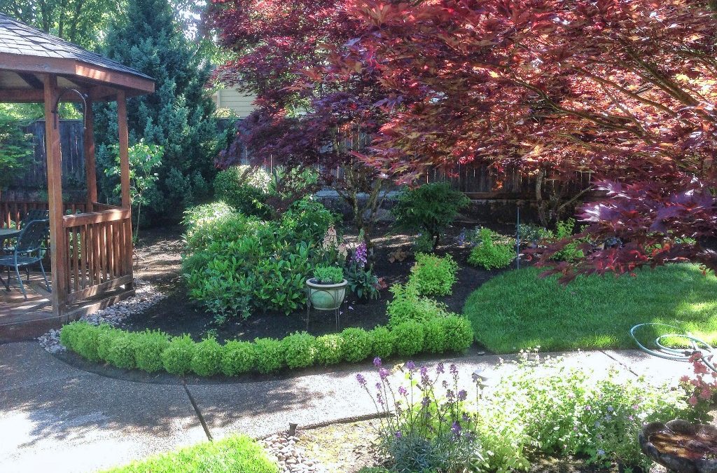 A Greenhaven Landscapes-designed customer's Vancouver WA walkway and wood gazebo with landscape design