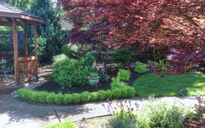 Hiring a Landscape Contractor