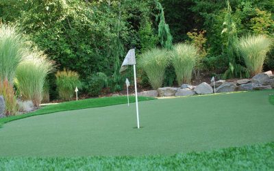 Artificial Turf: What You Need to Know