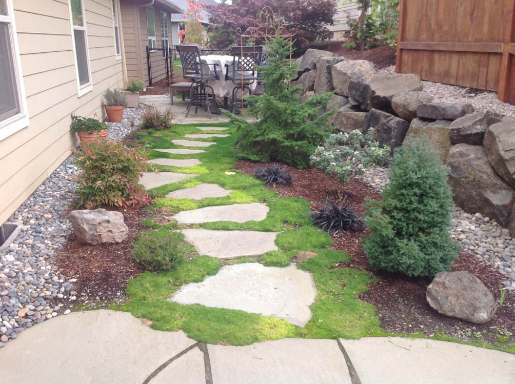 A Greenhaven Landscapes-designed customer’s Vancouver WA stone stepping stones, rock wall, and rock retaining wall with moss between steps A Greenhaven Landscapes-designed customer's Vancouver WA stone stepping stones, rock wall, and rock retaining wall with moss between steps