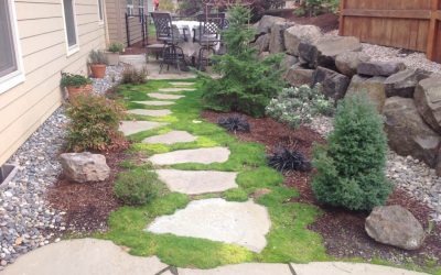 Side Yard Solutions