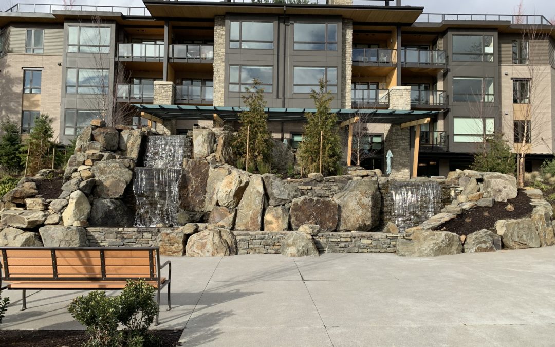 Water Feature in front of The Springs in Lake Oswego