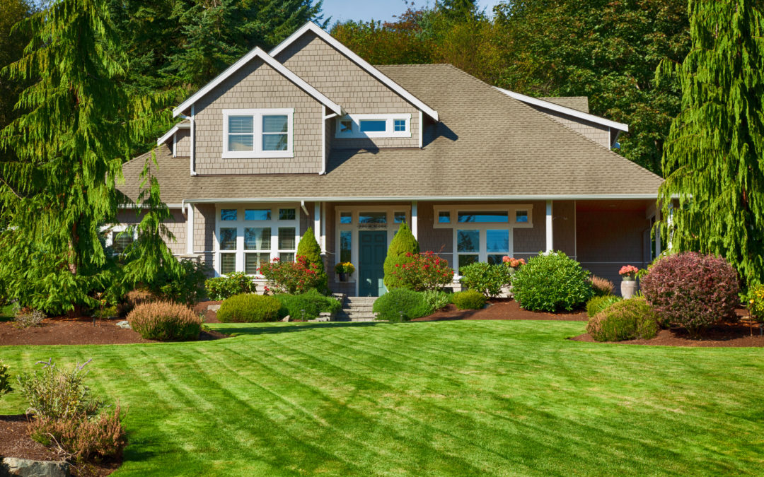 Front Yard Landscaping Design Tips for Curb Appeal