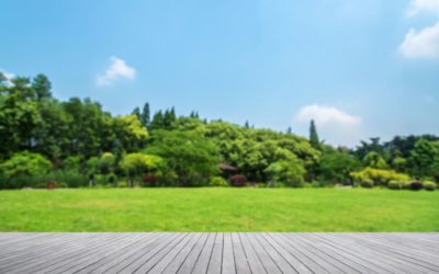 Landscaping from Scratch:  What to Do When Your Yard  Is a Blank Canvas