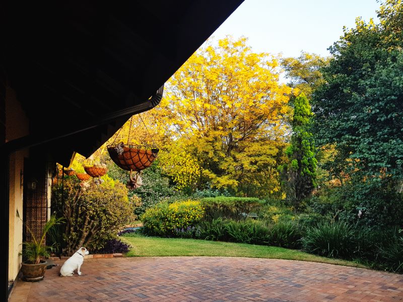 brick-paver-patio-overlooking-landscaped-backyard-in-the-fall-seaso