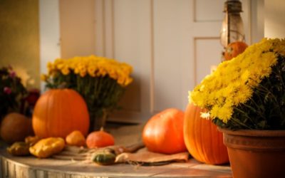 Six Tips for Fall Curb Appeal