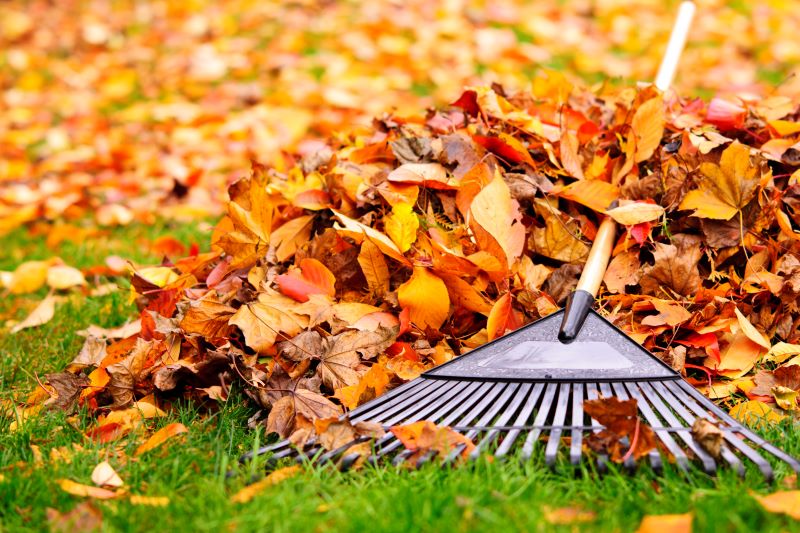 Rake on grass with fall colored leaves
