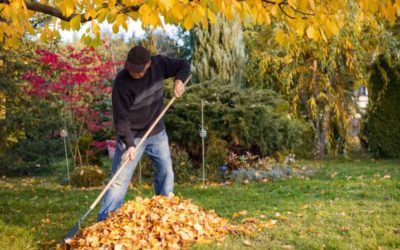 What Is The Most Important Yardwork to Do In the Fall?