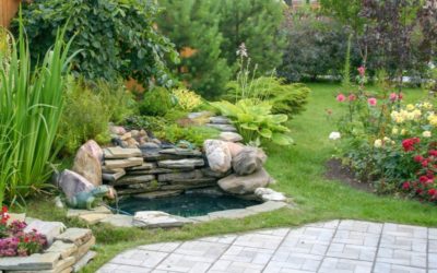 Greenhaven Q&A: Practical Answers From Landscape Experts, Pt. 1