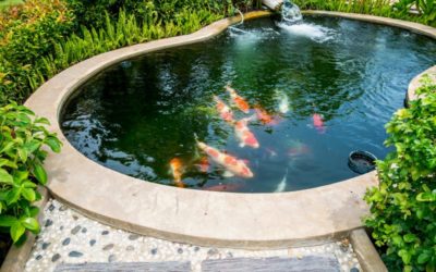Three Things to Know About Water Features for Your Yard
