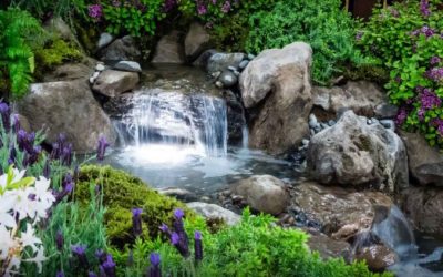 5 Ways Water Features Can Enhance Your Landscapes