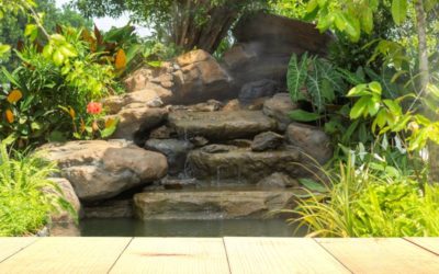 Considering a Water Feature for Your Yard? Do This!