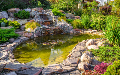 Myth-Busting Common Misconceptions About Backyard Water Features