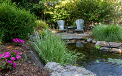 Taking Care of Your Backyard Bubbler, Fountain, or Pond This Spring and Summer