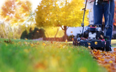 Five Easy Ways to Kickstart Your Yard Spring Cleaning