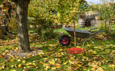 Getting Your Yard Prepped For Fall: 5 Things To Do Now