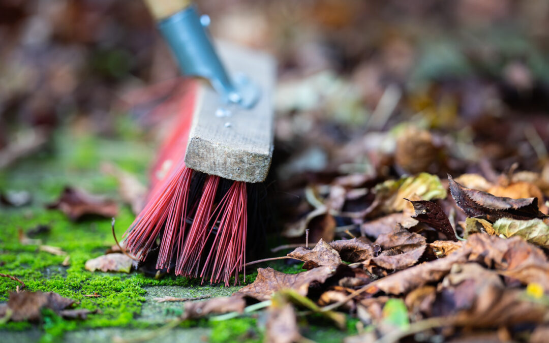 6 Tips to Winterize Your Yard