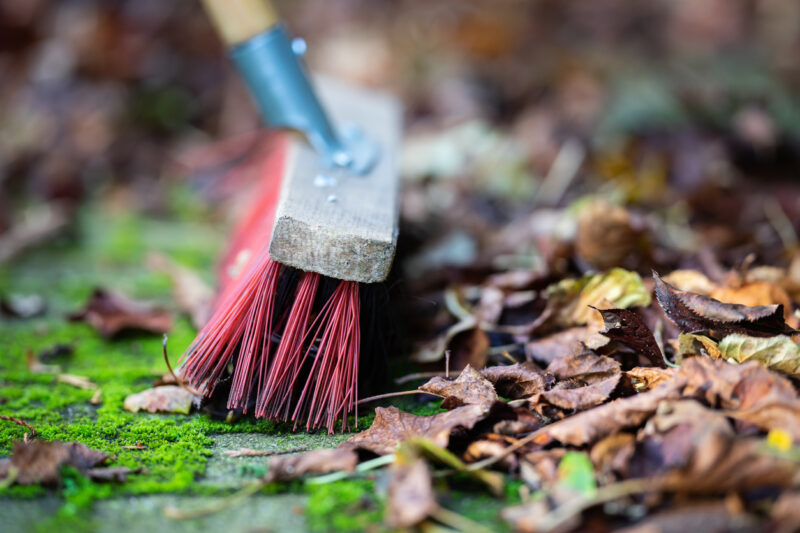 6 Tips to Winterize Your Yard