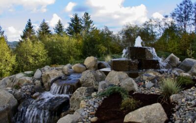Water Features 101: A Crash Course on Water Features