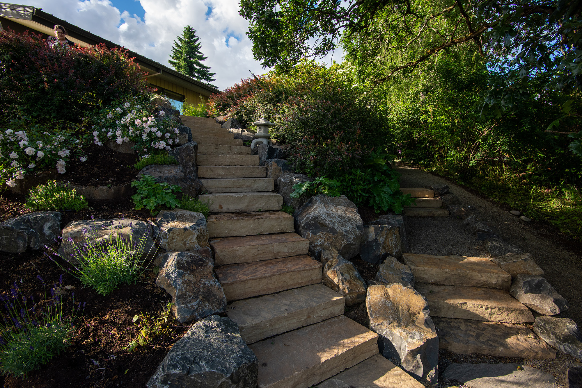 branching steps by Greenhaven Landscapes