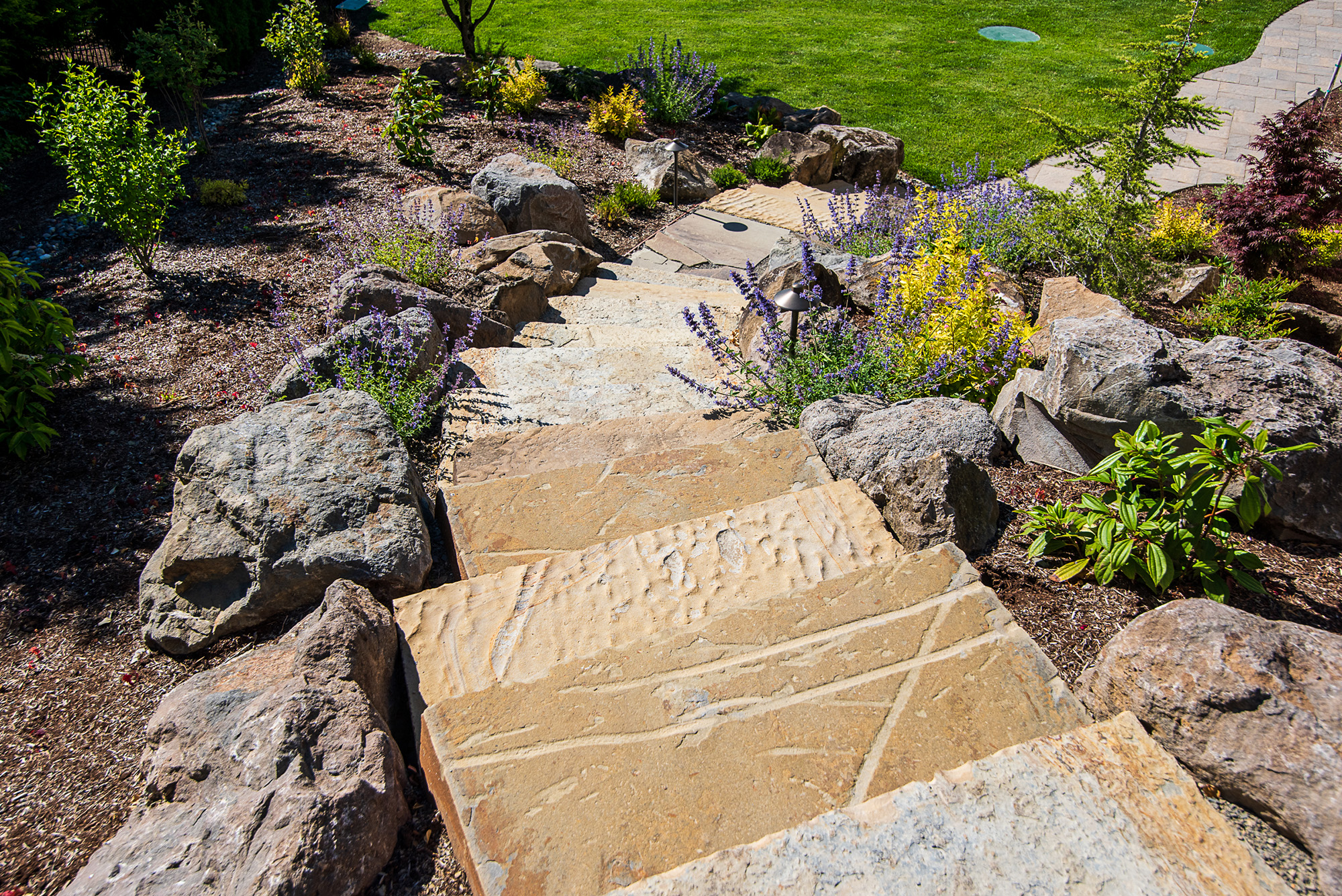 steps and path by Greenhaven Landscapes