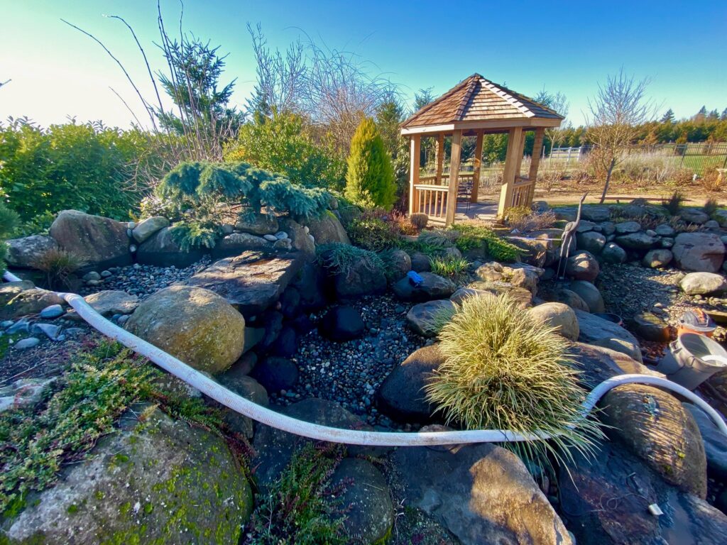 drained pond with exposed rock, plants, and hose. pavilion in the background.