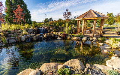Complete Guide to Fish Pond Cleaning and Maintenance