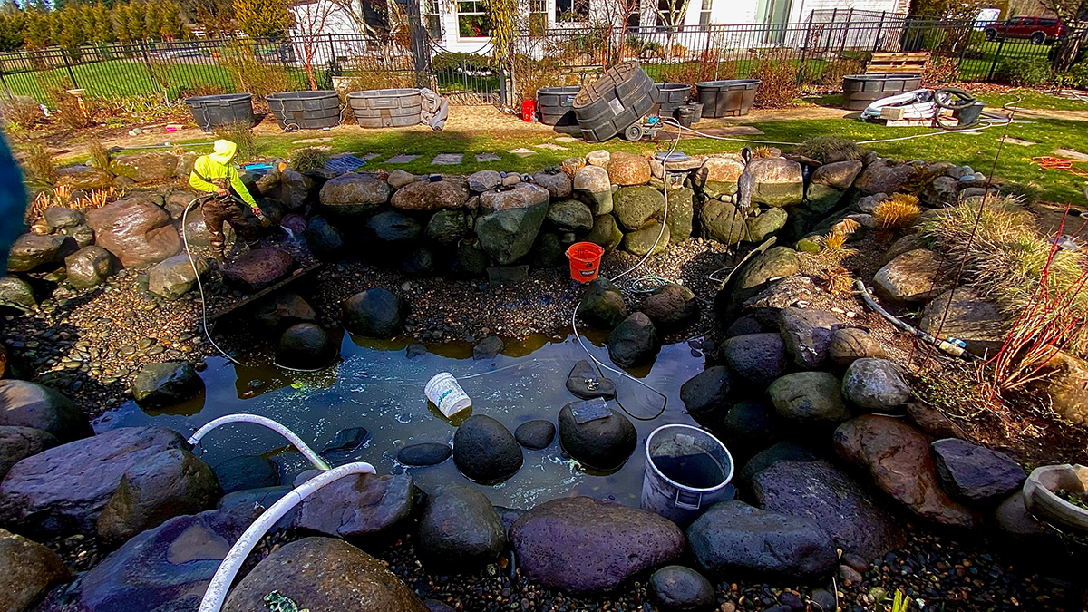 Greenhaven Landscapes performing cleaning and maintenance on a water feature