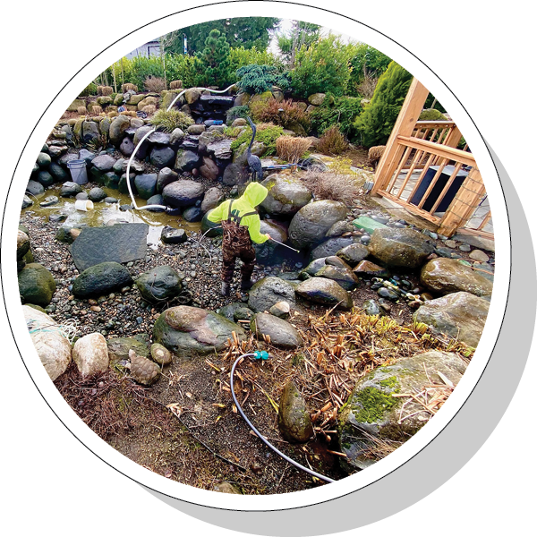 Greenhaven Landscapes performing cleaning and maintenance on a water feature
