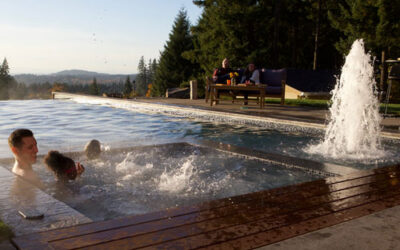 The Perks of Having a Pool and Spa in Your Own Yard
