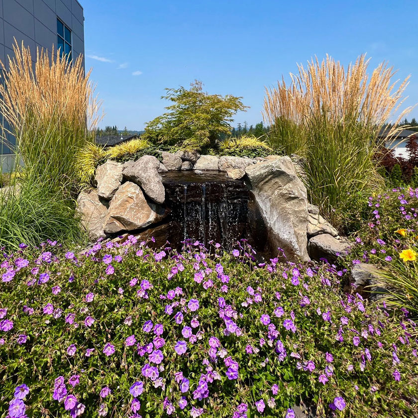 Commercial Water Features and Landscaping with Greenhaven Landscaping