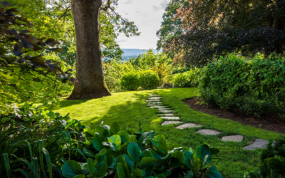 Transform Your Garden with Enchanting Walkways and Paths