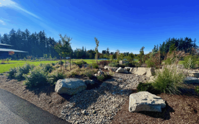 How to Place Boulders in Your Landscape: Professional Tips for a Natural, Stunning Design