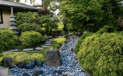 Creating a Zen Garden: Design a Peaceful Backyard Escape