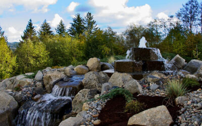 How to Boost Wellness with Negative Ions in Your Landscape Design