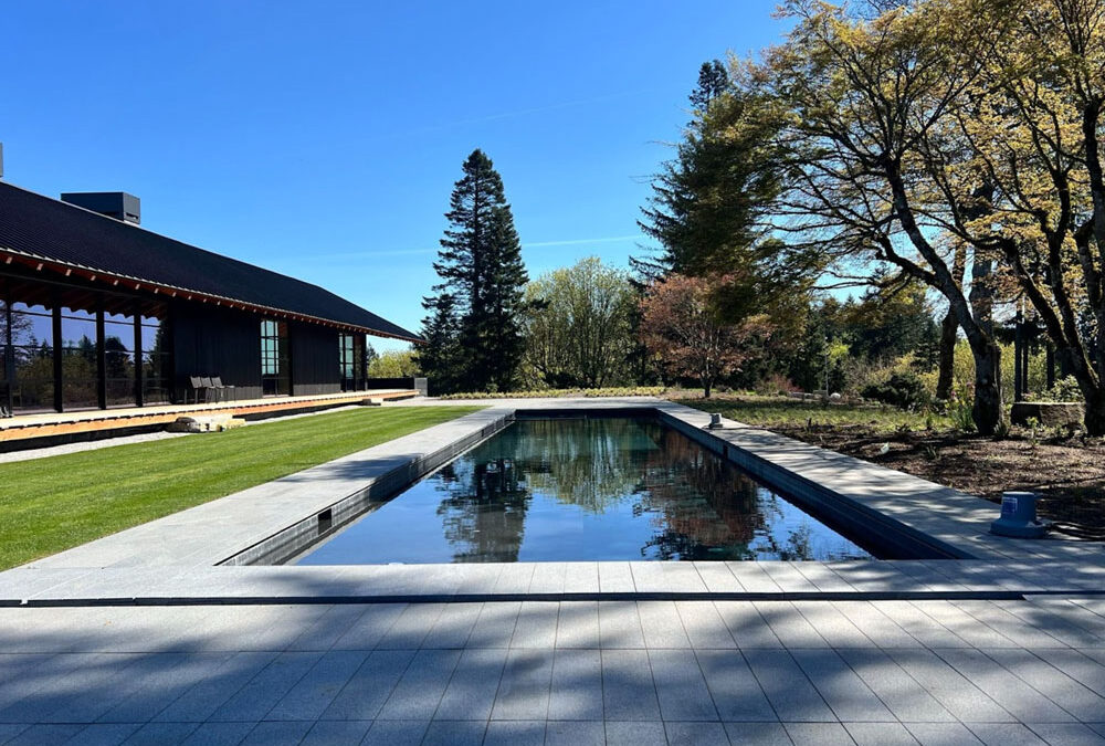 Saltwater Pools: Pros, Cons, and What You Really Need to Know