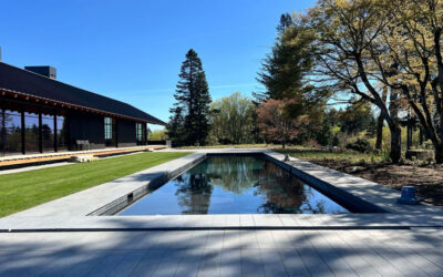 Saltwater Pools: Pros, Cons, and What You Really Need to Know