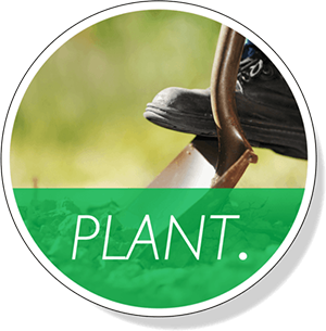 close-up of a boot pushing a shovel into ground with overlay of the word "PLANT."