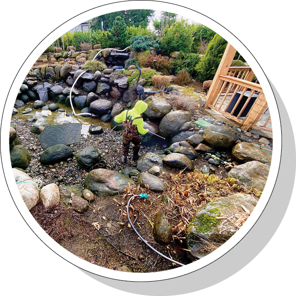 Greenhaven Landscapes team cleaning and repairing a pond water feature