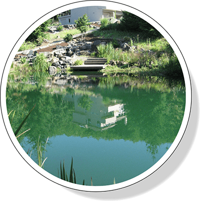 koi pond water feature style from Greenhaven Landscapes